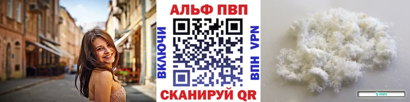 Alfa_PVP СК  Грозный 