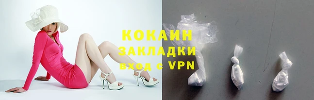 бошки Ельня