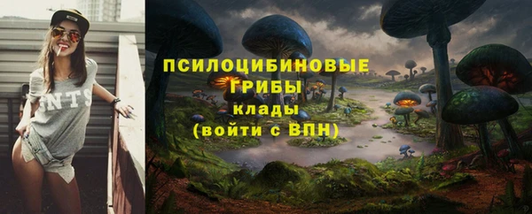 МДПВ Фурманов