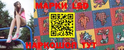 шишки Апшеронск