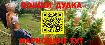 шишки Апшеронск