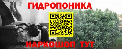 шишки Апшеронск