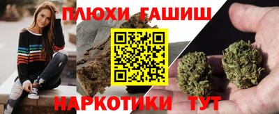 a pvp Бийск