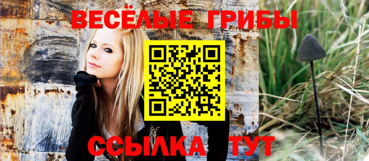 Галлюциногенные грибы ЛСД  Вход с VPN  Псилоцибиновые грибы Psilocybe  как найти наркотики  Грозный 