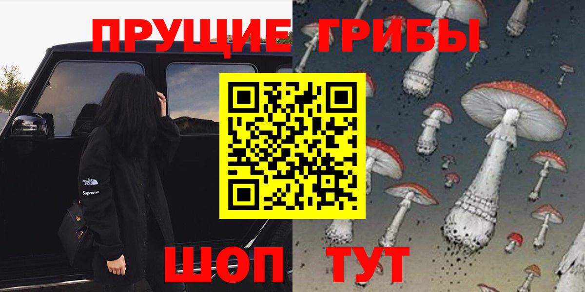 Галлюциногенные грибы Psilocybe Грозный